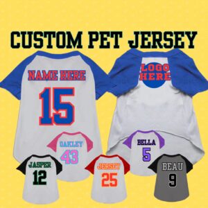 Custom Baseball Jersey