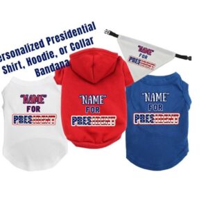 Personalized "For President" Political Presidential Hoodie