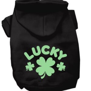 Lucky Dog Hoodie St. Patrick's Day