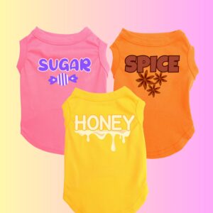 Sugar - Spice - Honey Dog Shirt