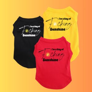 A Ray of F*cking Sunshine